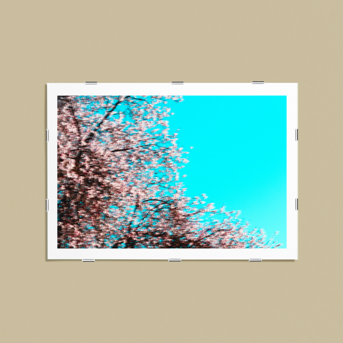 Spring_01
