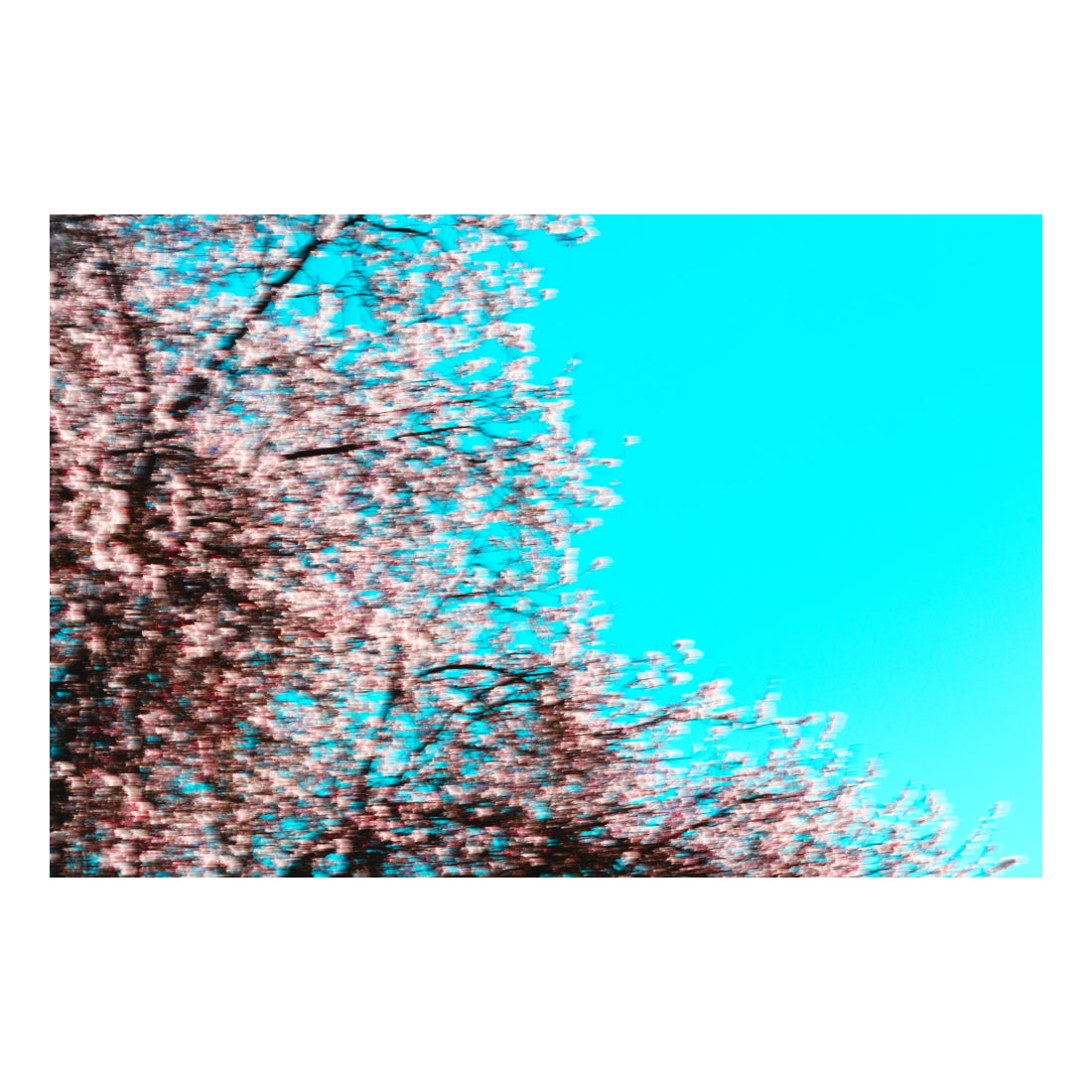 Spring_01