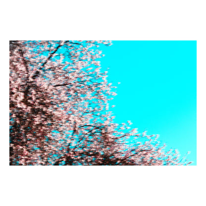 Spring_01