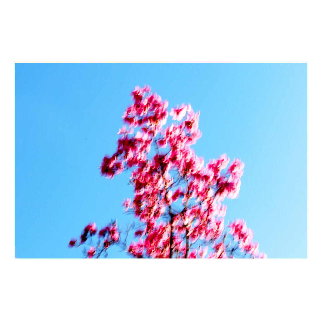 Spring_02