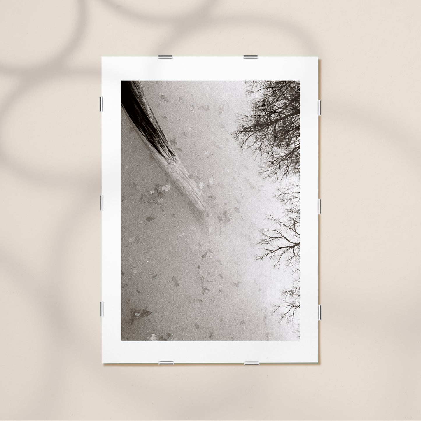 THE HAPPY STORY OF THE LIFELESS TREE