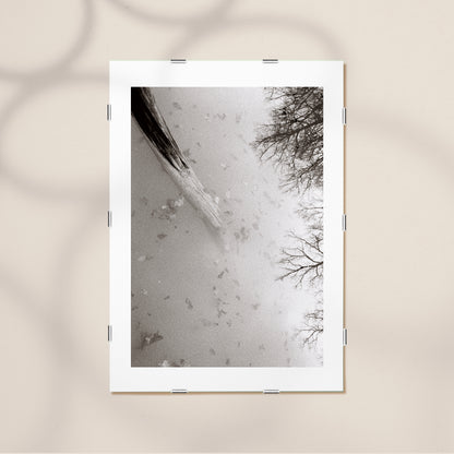 THE HAPPY STORY OF THE LIFELESS TREE