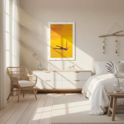 THE MISUNDERSTOOD CARROT